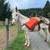 Pack mule 5 thumbnail
