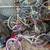 several used bikes 2 thumbnail