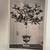 (12) Vintage Black and White Post Cards From Greece Of Historical Land 2 thumbnail