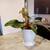 Healthy plants 3 thumbnail