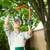 Bay Area Tree Service, Trimming, Removal - $25 Off Coupon! 4 thumbnail