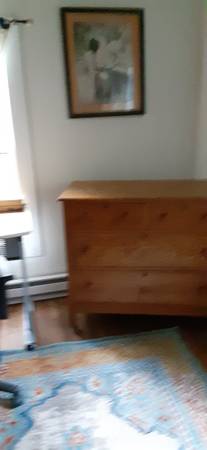 $800 / 1br - Great room near everything (N. AVL)64029206052865123