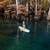 Never-Used Inflatable Paddle Board Set - Amazing Deal! 4 thumbnail