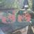 Set of Painted Wooden Pumpkin Crates - for Potted Flowers/Decorations 1 thumbnail