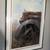 Tom Hale Mack Truck Limited Edition Print 1 thumbnail