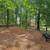 Two and three-bedroom townhomes, Hardwood floors 4 thumbnail