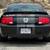 2008 Ford Mustang Ebony Clearcoat Amazing Value!!! 4 thumbnail