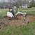 brush hog service / land clearing / mow your field / excavation 12 thumbnail