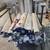 5x7 Indoor outdoor Rugs $25, Door Mats Hammock Swing  Coger Surplus 6 thumbnail