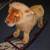 Rocking Horses and Lion 4 thumbnail