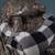 Cats 2 thumbnail
