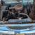 1959 Studebaker Lark 2 thumbnail