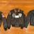Cockpit USA Flight Jacket  And  Schott Motorcycle Jacket 2 thumbnail
