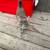 Free Kittens 1 thumbnail