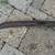 Vintage Antique Scythe Hay Sickle Grim Reaper Farm Tool Implement 5 thumbnail