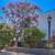 2 Bedroom 1 BA in Highland Park, Nest Thermostat, Central Air 9 thumbnail