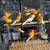 Canary. Timbrado 13 thumbnail