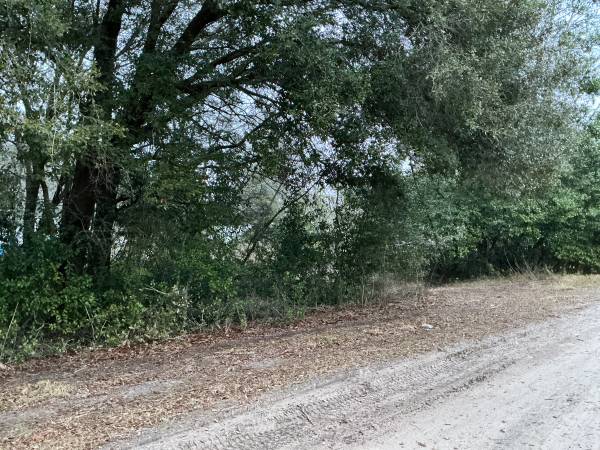 $27,450 / 13503ft2 - Residential Lots 57-60 in Belleview For Sale/ Financing Available (BELLEVIEW)63861744981633122