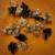 Chicken, Quail & Duck Fertilized Hatching Eggs 8 thumbnail