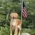 Winter Lakeside Rental on Sebago Lake, Furnished, Close to Skiing 16 thumbnail