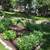 🌲🌼🌺JARELY’S LANDSCAPING & TREE SERVICE LLC🌼🌺🌳 9 thumbnail