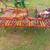 NICE 9 Shank Digger or Field Cultivator 2 thumbnail