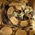 Redtail boa 2 thumbnail