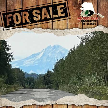 $26,000 Perfect to build your dream cabin, or recreational retreat (Soldotna)64163336991105120