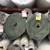 .Grey Carpet ON SALE FROM $5.99 sq yd 4 thumbnail