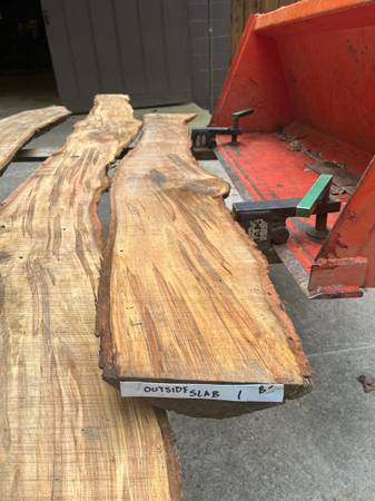 Spalted Maple Slabs