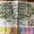 1970s Disneyworld Map 2 thumbnail
