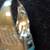 RING Sterling Silver/925 Size 11 C Pics 3 thumbnail