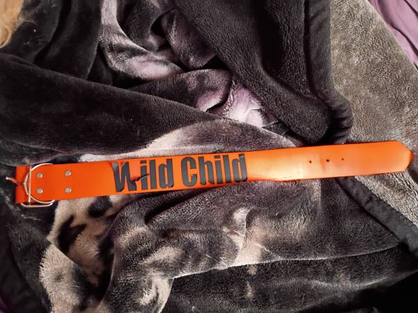 Neon orange biothane collar 1