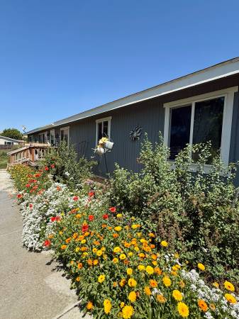$337,000 / 3br - Cómoda casa en gran terreno de esquina (0,44 acres) en Waitsburg! (Waitsburg)63621622962305122