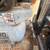 Ingersoll Rand Gas Compressor 3 thumbnail