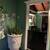 Whimsical Cottage  Furnished 3 bed 3ba by the  Month up to 6 months  10/17/25 4 thumbnail