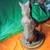 Only One Online! STANDING BEAR Bronze Plated Resin STATUE with Base!! 6 thumbnail