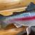 Hand-carved, wood, rainbow trout by World Champ carver, Michael Scott 5 thumbnail