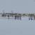 Paradise Valley 20 Acres, deeded to build another home + 2 guest house 7 thumbnail