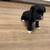 Rehoming 4 puppies 6 thumbnail