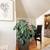 Boutique Offices Denver – Move-In Ready, Private, Professional 6 thumbnail