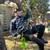Tree climbing lessons 13 thumbnail
