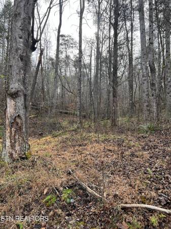 $495,000 58 ACRES- NO RESTRICTIONS (Madisonville)63815667970817120