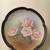 Vintage Collector Plates with Hand Painted Roses 3 thumbnail