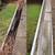 Gutter Cleaning – starting at $80 4 thumbnail