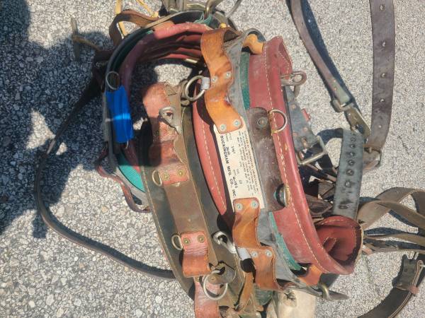 Lineman belt and fall protection with tool belt $100 each 1