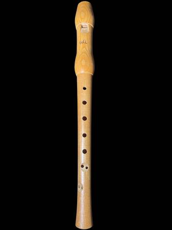 Vintage Gill Wooden Recorder Israel - $20 (Baldwin)63471464334979120