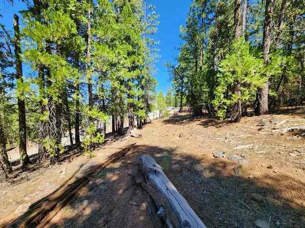 $125 /m..0.9 Acres - ¡Recreación Infinita y Vistas a las Montañas! (Alturas, CA)63847865689219121