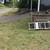 Weed eater service high grass/weeds cut it down 13 thumbnail