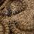 Reptile food / super worms/ mealworms 1 thumbnail
